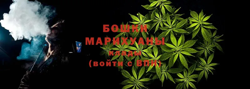 Каннабис Bruce Banner  купить наркоту  Ардон 